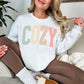 "Distressed Pastel Cozy" graphic on clean bright white (white) Sweatshirt.