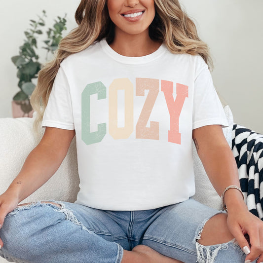 "Distressed Pastel Cozy" graphic on bright white (white) T-shirt.